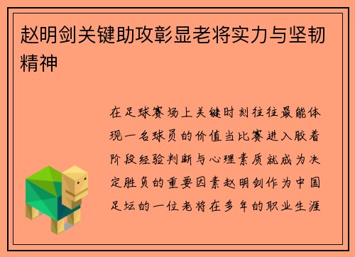 赵明剑关键助攻彰显老将实力与坚韧精神
